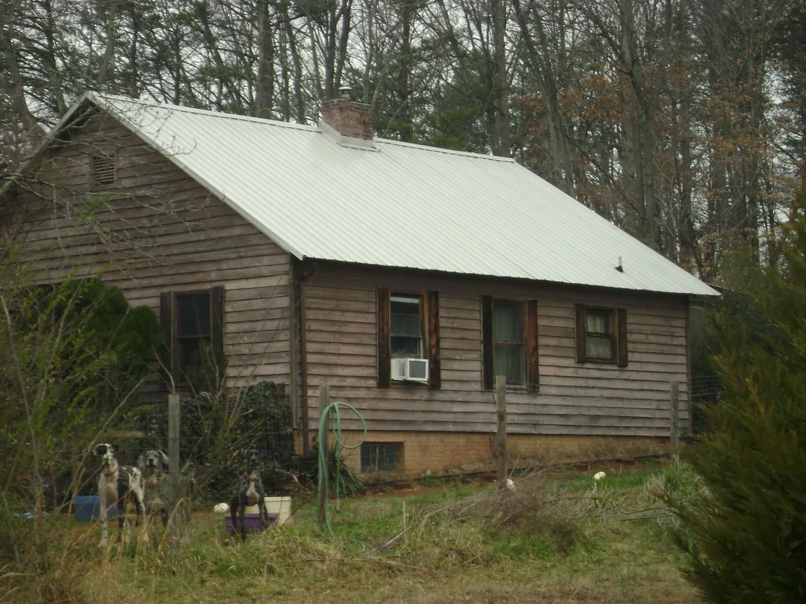White metal roof on an old wood sided farmhouse, from a Asphalt Shingle Roof Repair job in Grosse Ile